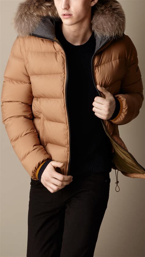 burberry shiny puffer|Burberry puffer coat men's.